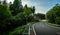 Long Curvy Forest Road In Alpine Mountains