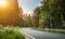 Long Curvy Forest Road In Alpine Mountains