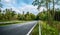 Long Curvy Forest Road In Alpine Mountains