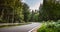 Long Curvy Forest Road In Alpine Mountains