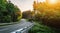 Long Curvy Forest Road In Alpine Mountains