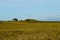 Long deep field near seashore with blue summer sky