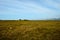 Long deep field near seashore with blue summer sky