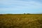 Long deep field near seashore with blue summer sky