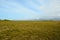 Long deep field near seashore with blue summer sky