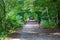 A long dirt footpath in the forest near a lake with people walking along the path surrounded by lush green trees and plants