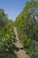 The long dirt path above the city hills