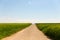 Long dirt road through fields