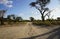 Long dirt road in the open Savannah, Africa