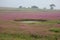 Long distance view of Kaas Platue, Satara