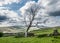 Long distance walking at Garsdale Head in South Cumbria