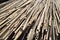 Long dried bamboo