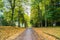 Long Driveway in Autumn