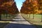 Long driveway with maple trees in Brillant fall colors