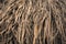 Long dry thin grass, agriculture harvest, pile of hay straw. Texture detail. Association brittle lifeless damage