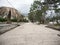 Long empty asphalt seaside alley with pine trees and palms