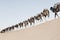 A long, endless caravan of camels dromedary at Erg Chebbi in Merzouga, Sahara desert of Morocco