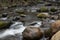 Long exposure creek flowing past moss covered boulders