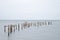 Long exposure derelict pier in calm sea