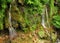 Long Exposure Of The Falls Cascades Du Saut Du Loup In The Gorges Du Loup Canyon In Provence France