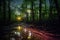 long exposure of fireflies trails in swamp area