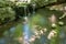 Long exposure of idyllic woodland waterfall reflecting colors