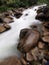 long exposure of the ikizdere River looks like Milk between Brown rocks and green nature. capture looks like Milk and chocolate. .