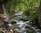 Long exposure of Lithia Creek with trees hanging low over the water in Ashland Oregon