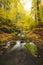 Long exposure of a lost river in a nature reserve surrounded by fallen colourful leaves and old deciduous trees in autumn. Stare