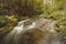 Long exposure of a lost river in a nature reserve surrounded by fallen colourful leaves and old deciduous trees in autumn. Stare