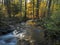 Long exposure magic forest stream in autumn with moss fern fallen leaves and trees in orange golden light in luzicke hory mountain