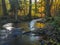 Long exposure magic forest stream creek in autumn with stones mo