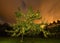 Long exposure night photo of apple tree and dark heavy clouds