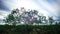 Long exposure o a tree near farm land