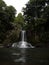 Long exposure panorama of idyllic tropical Kauri tree forest waterfall Waiau Falls near Coromandel Waikato New Zealand