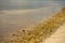 Long exposure photo waves crashing on rocks smooth water surface