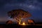 Long exposure Photograph with grain. The mahout is creating a fire with elephant under the tree. The Milky Way in the sky. Galaxy