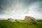 A long exposure photograph of Torhouse Stone Circle, Newton Stew
