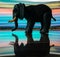 Long exposure pic of elephant standing on mirror