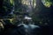 Long exposure of a river creek with a small waterfall. Sunset and strong detail bokeh view. blue calm warm water