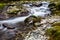 Long exposure of stream in Tollymore Forest park