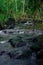 Long exposure streams in the forest that pass rock