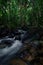 Long exposure streams in the forest that pass rock