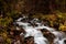 Long exposure of a tranquil stream cascades through a forest of lush greenery, surrounded by rocks