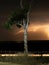 Long exposure of a tree