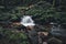 Long exposure view of water gushing down a creek in a forest