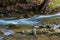 Long Exposure Water Blur On Pine River