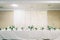 Long festive table with chairs with bouquets of flowers in vases stands in a restaurant