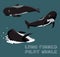 Long Finned Pilot Whale Cartoon Vector Illustration