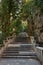 Long flight of stony steps surrounded by trees